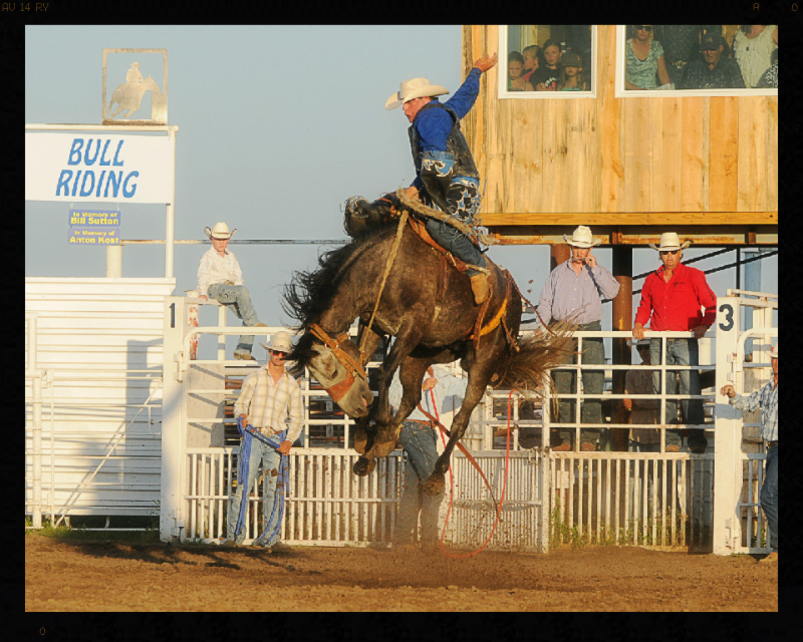 cowboy